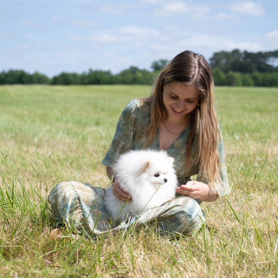 chien regardant son maître avec affection lors d'un moment de complicité