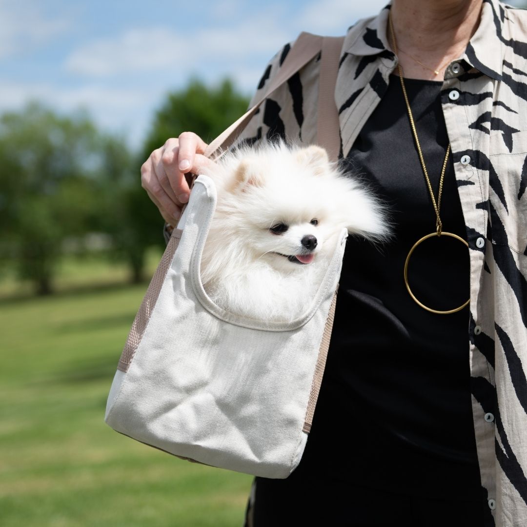 Sac transport petit chien : comment choisir le modèle idéal pour voyager avec votre compagnon ?
