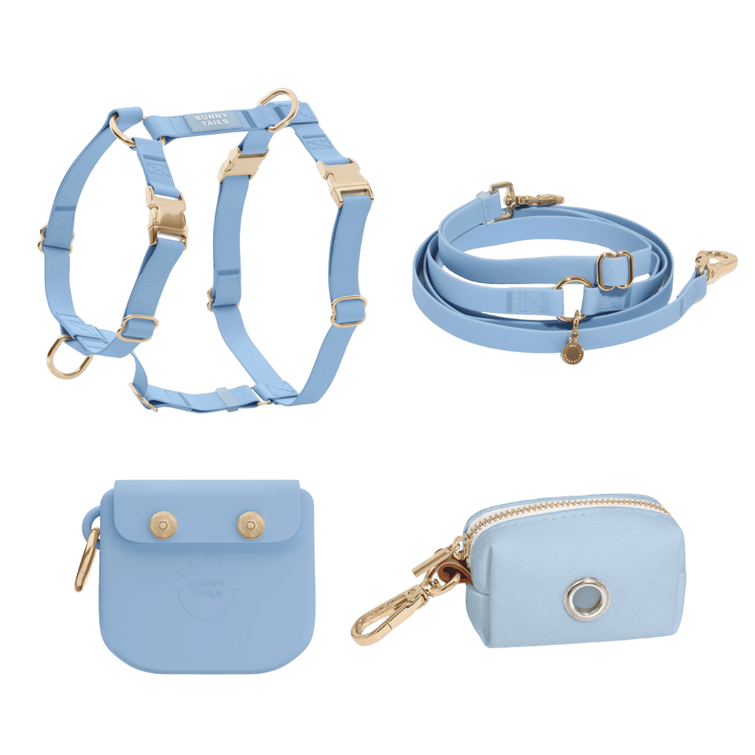 pack complet harnais bleu Sunny Tails assorti