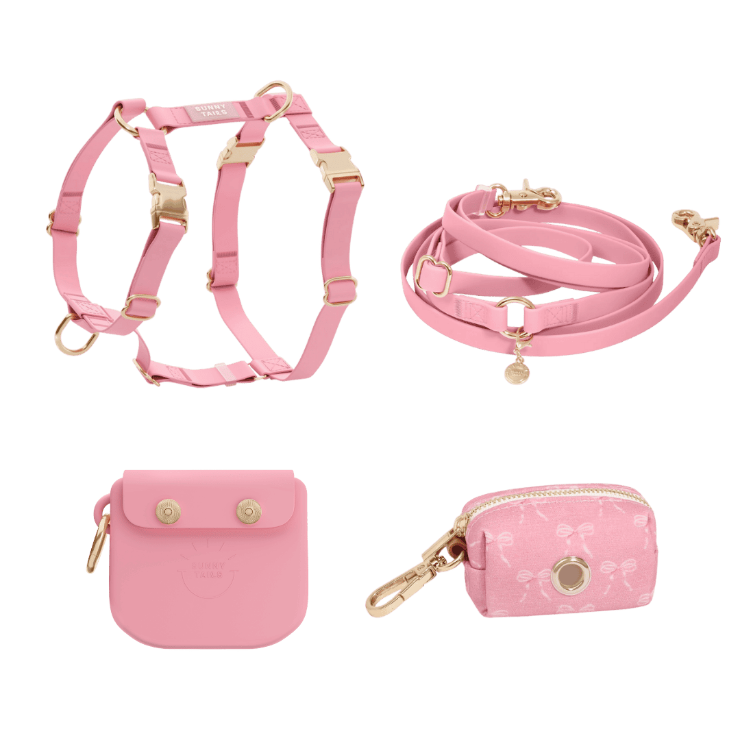 pack complet harnais rose Sunny Tails assorti