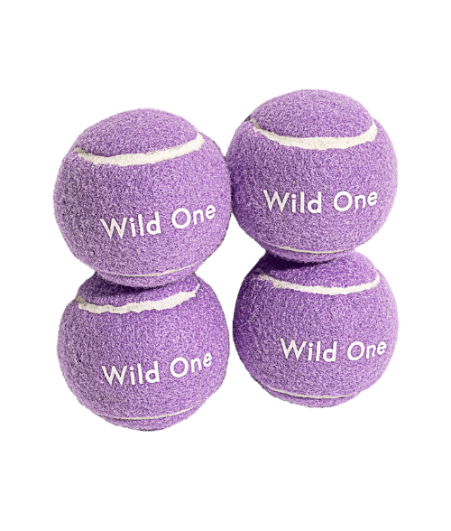 Balle de tennis pour chien Wild One, set de 4 balles