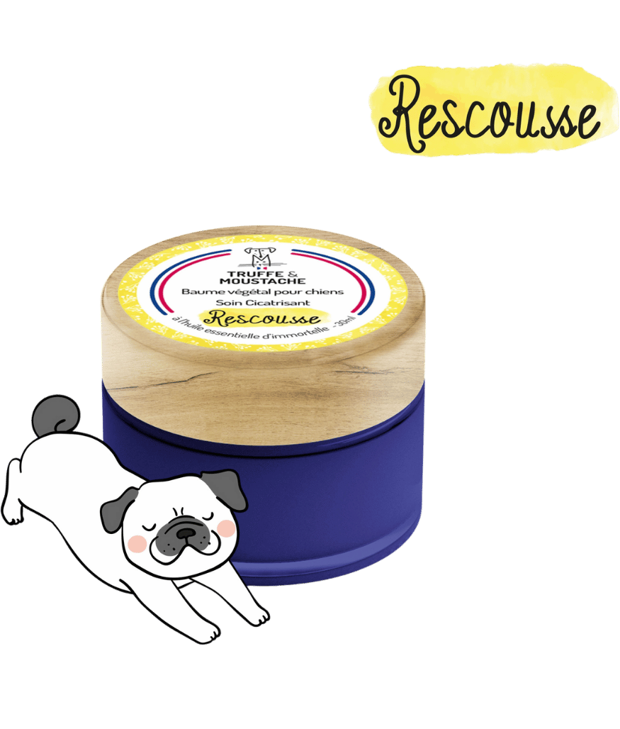 Soin réparateur pour peau irritée de chien à base de plantes