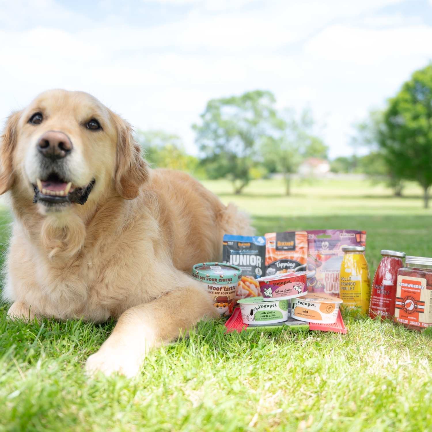 Olympe avec friandises dont les biscuits chiens poissons Wooftastic
