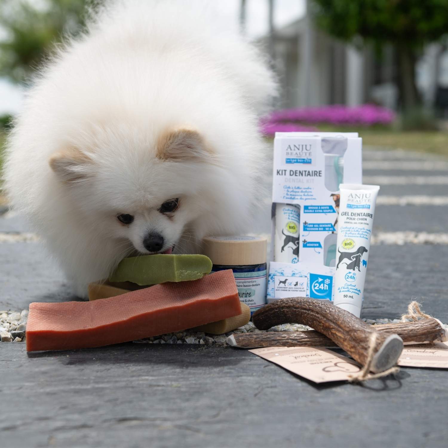 Bois de cerf chien avec d'autres produits d'hygiène dentaire