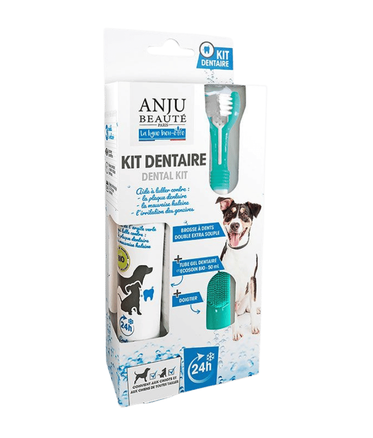 Brosse à dents pour chien et dentifrice chien bio en kit dentaire