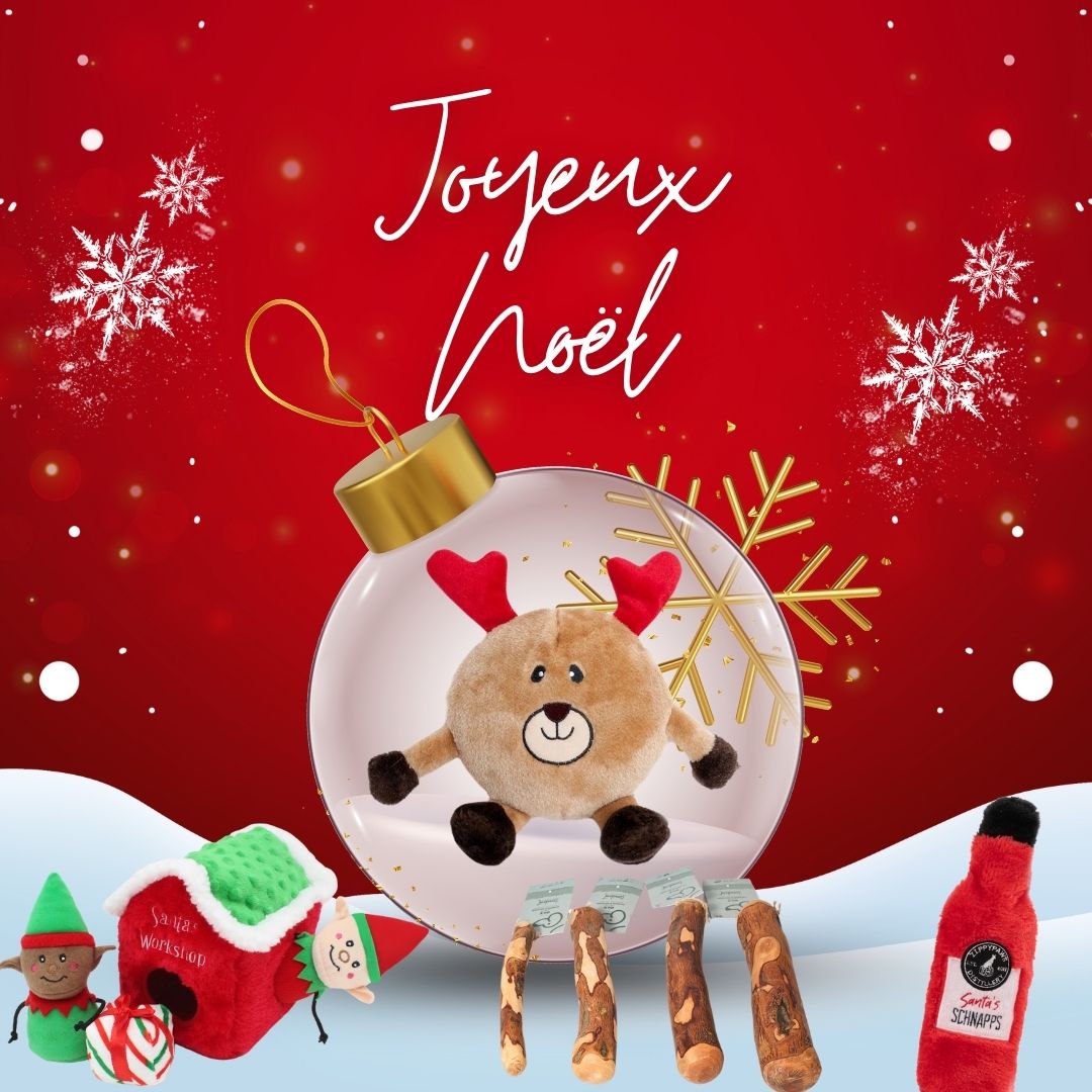 Des idées de cadeaux de noël pour son chien
