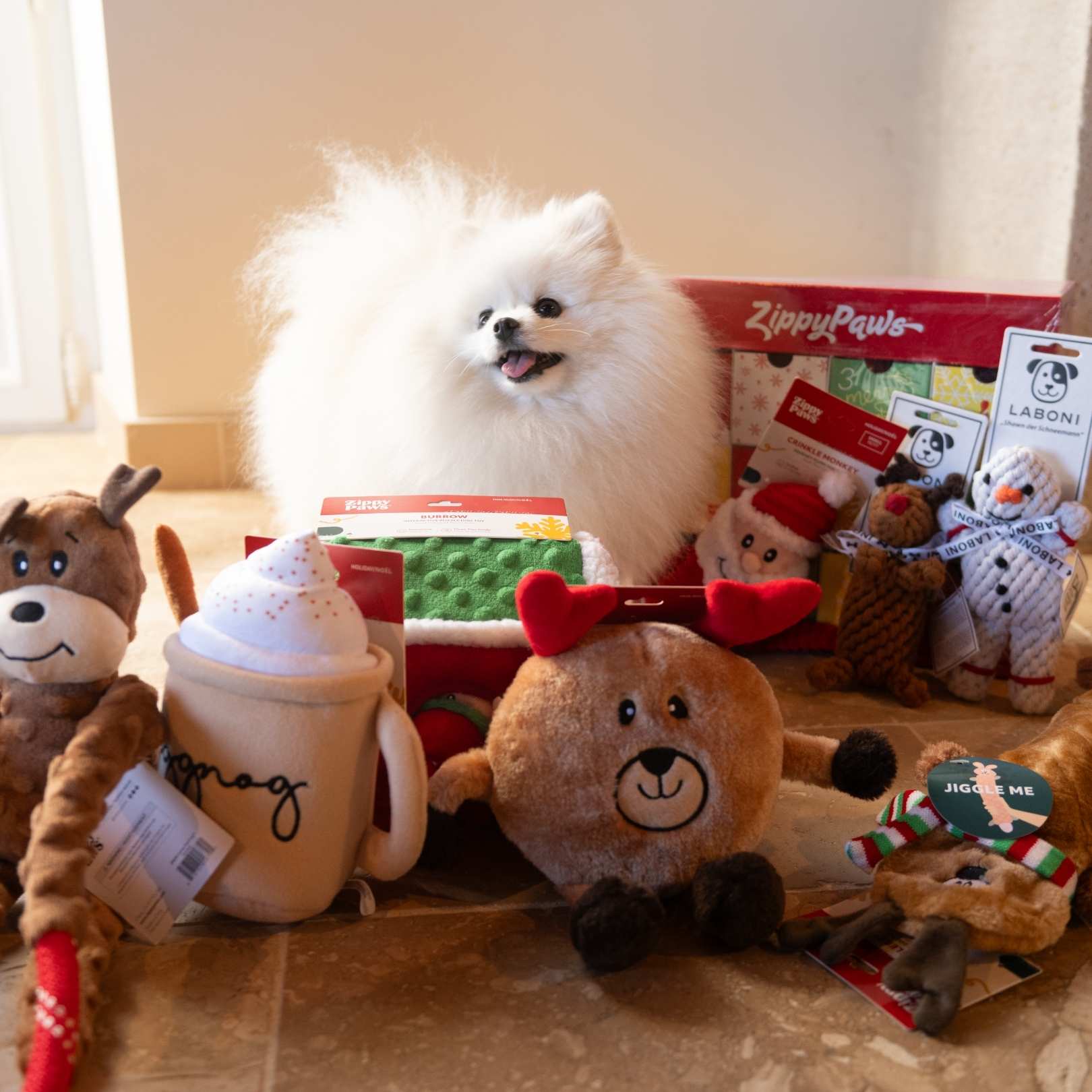 Chien de race Spitz nain blanc entouré de jouets de Noël et d'un calendrier de l'avent pour chien ZippyPaws