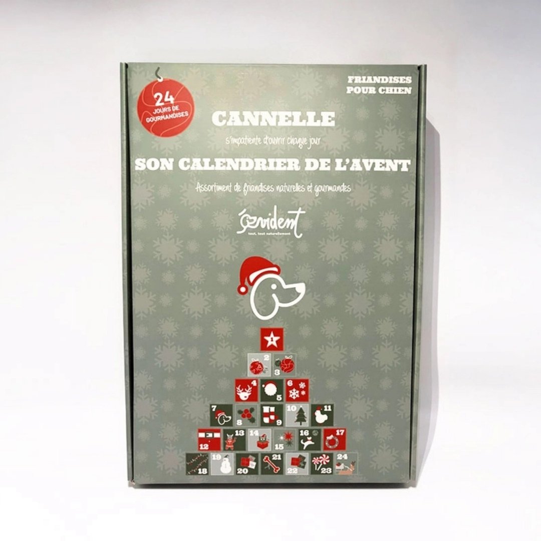 calendrier de l’avent chien édition limitée Évident