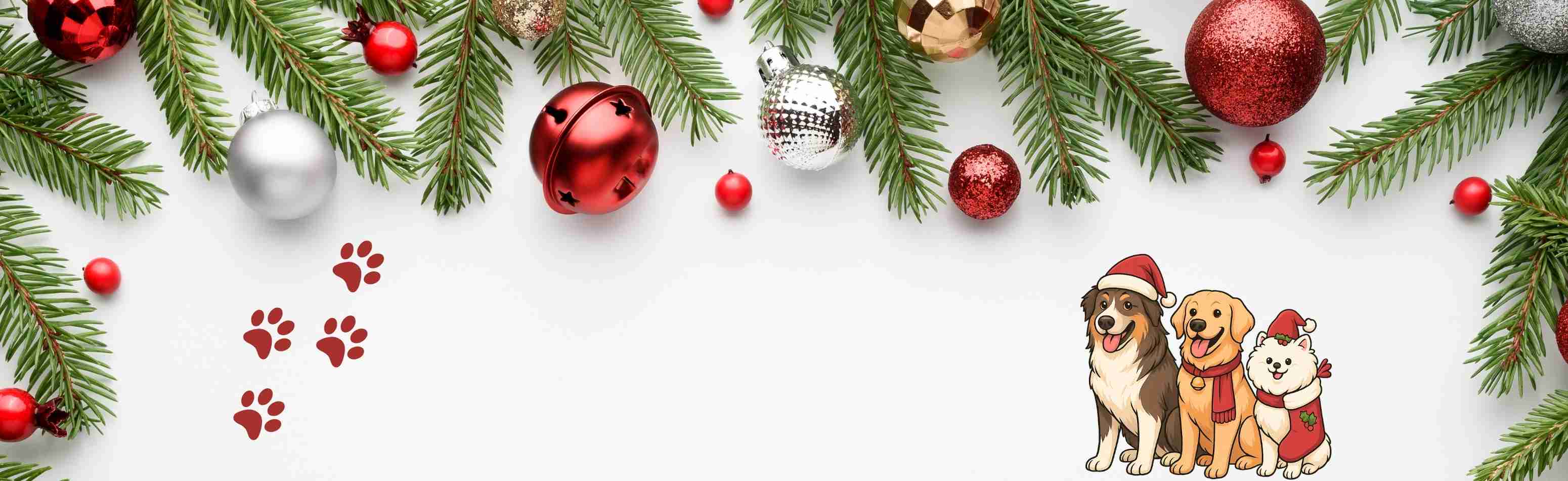 Sélection magique de cadeaux de Noël pour chien