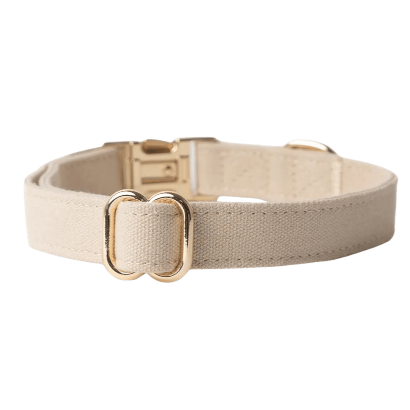 Collier chien beige Furlou – boucle dorée et détails en coton