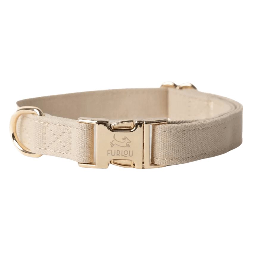 Collier chien beige Furlou – vue de face