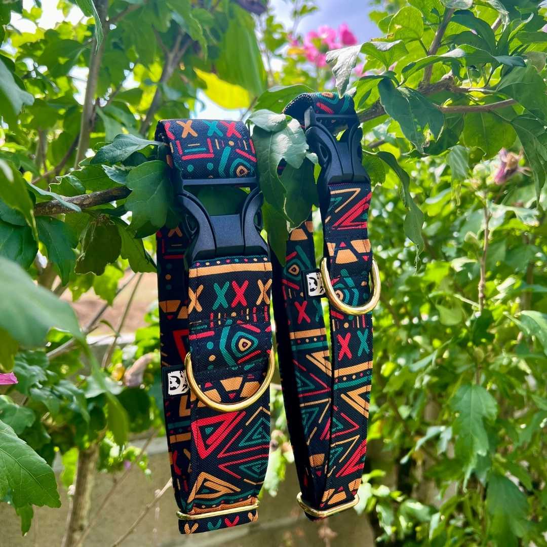 Collier chien grande taille Pawztec disponible avec 2 largeurs de sangle