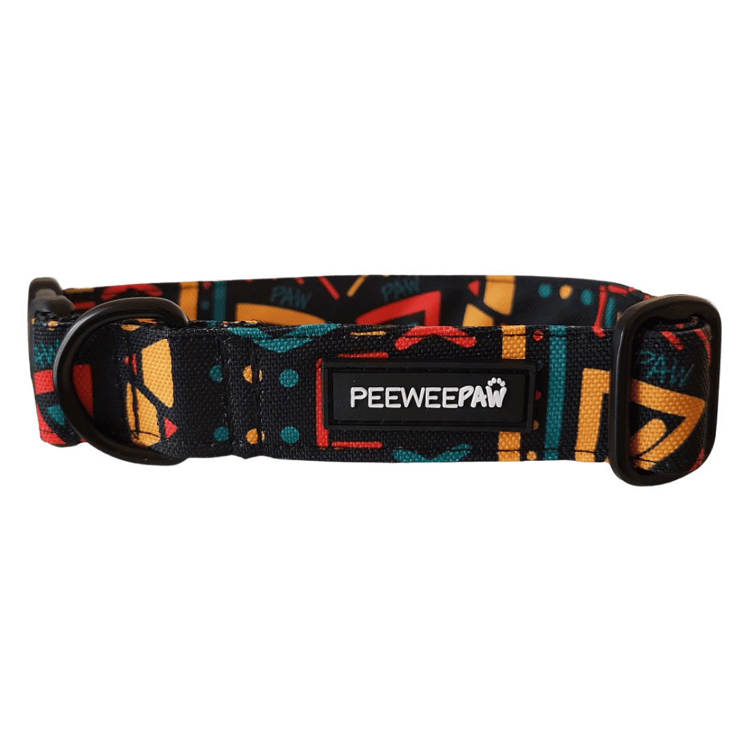 collier chien grande taille imperméable PeeweePaw motif pawztec