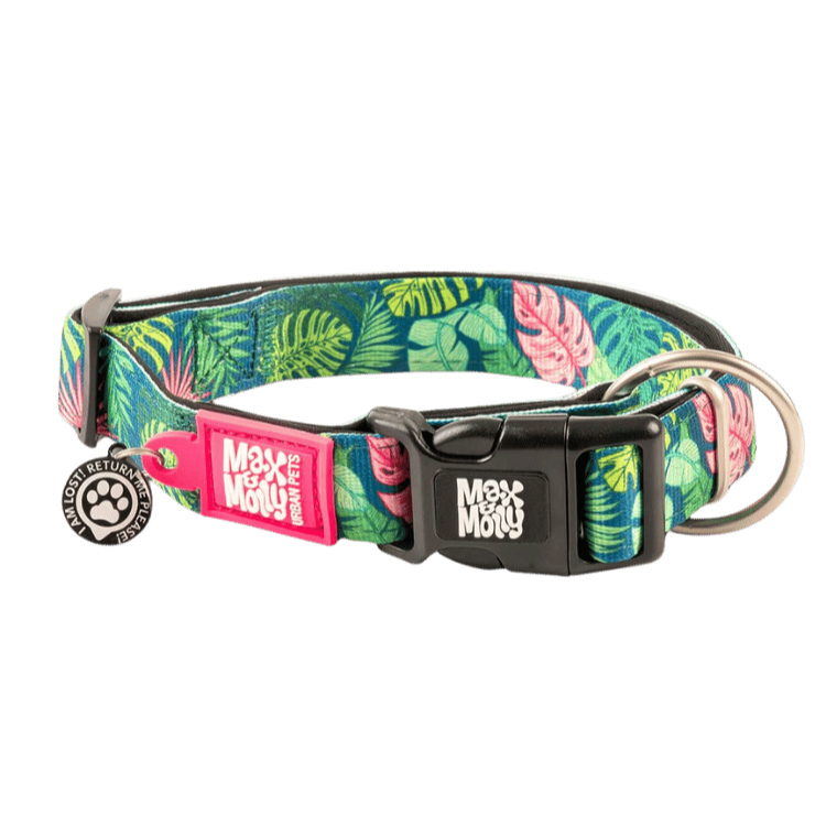 collier chien original tropical avec QR code