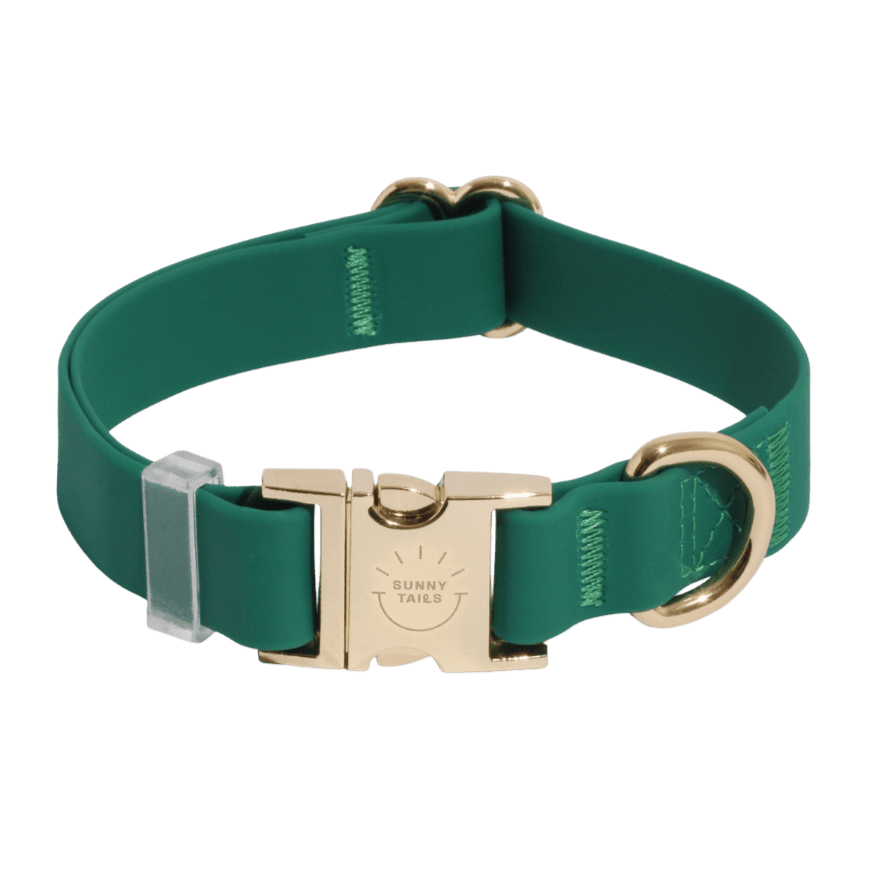 Collier chien vert waterproof élégant et résistant