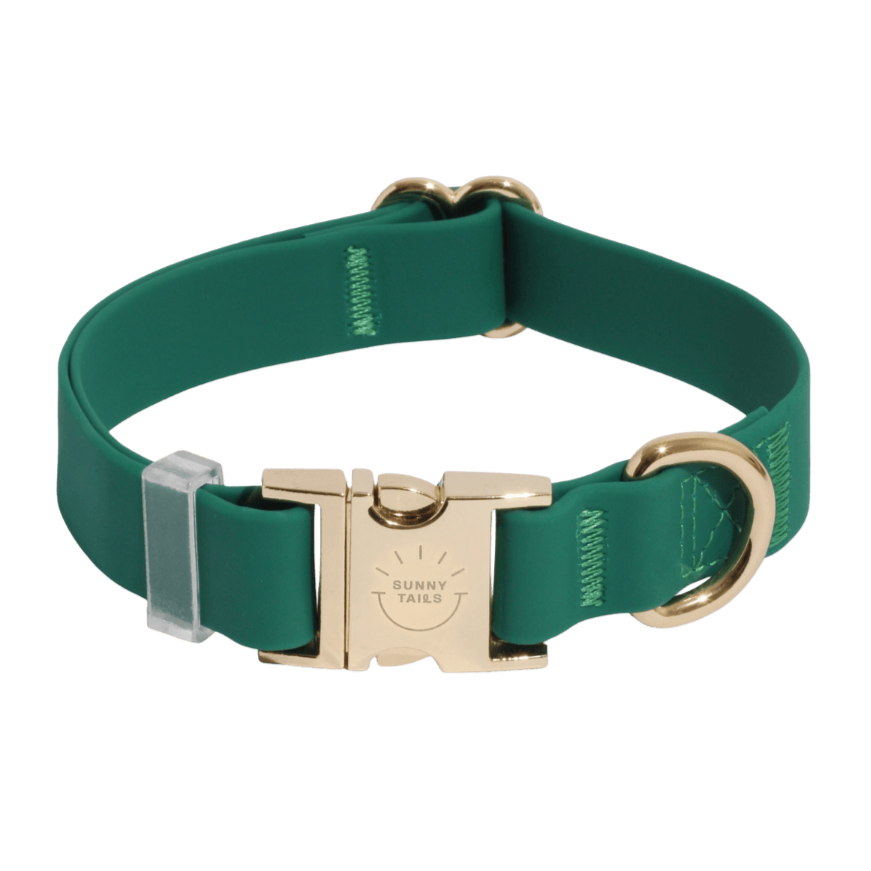 Collier chien vert waterproof élégant et résistant