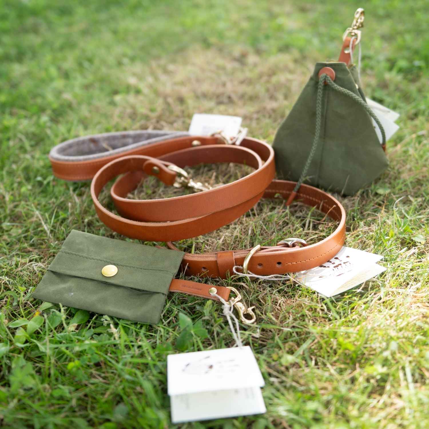 pack avec collier en cuir pleine fleur fait main pour chien