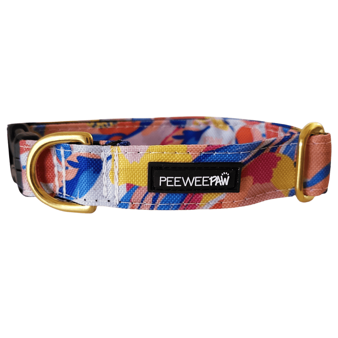 collier pour grand chien imperméable PeeweePaw