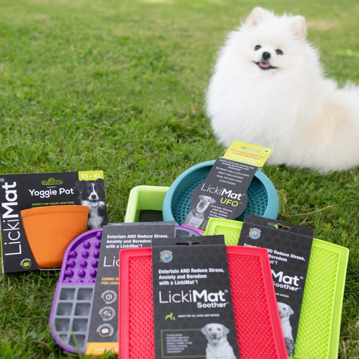 chien avec tapis de léchage Lickimat pour stimulation mentale