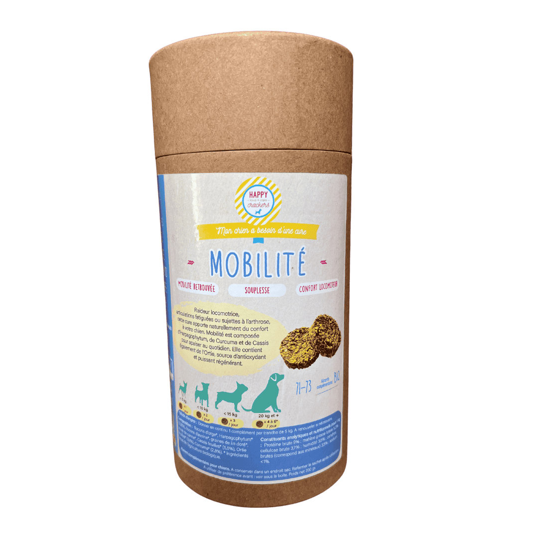 Complément alimentaire bio pour chien – articulation et mobilité