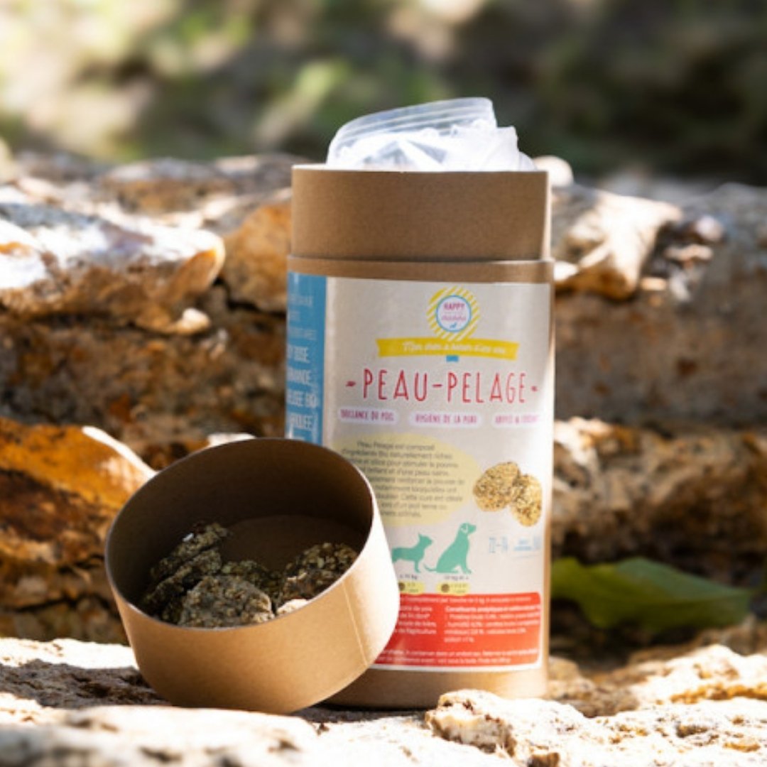 Complément naturel en biotine pour poil brillant