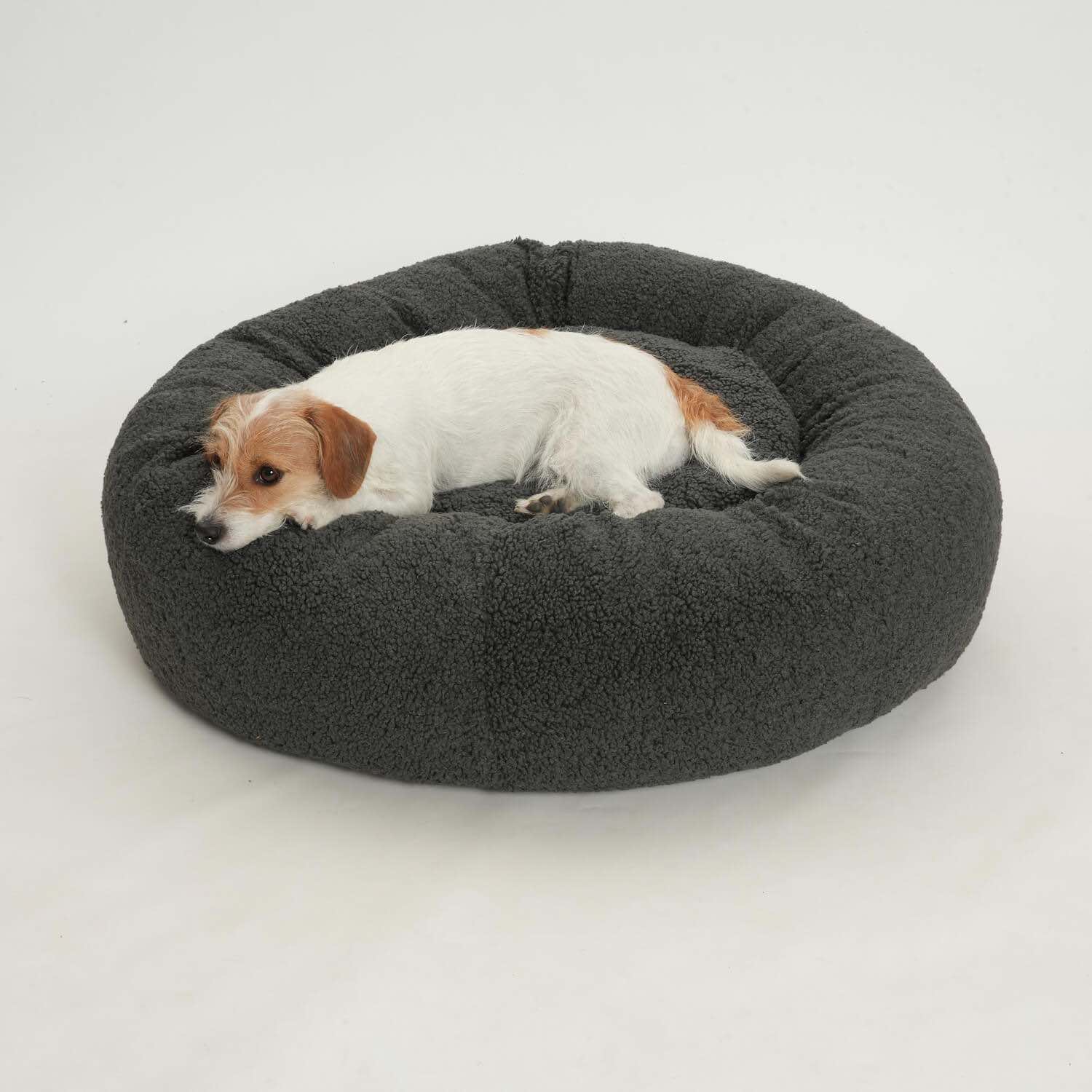 chien installé confortablement dans un coussin rond pour chien