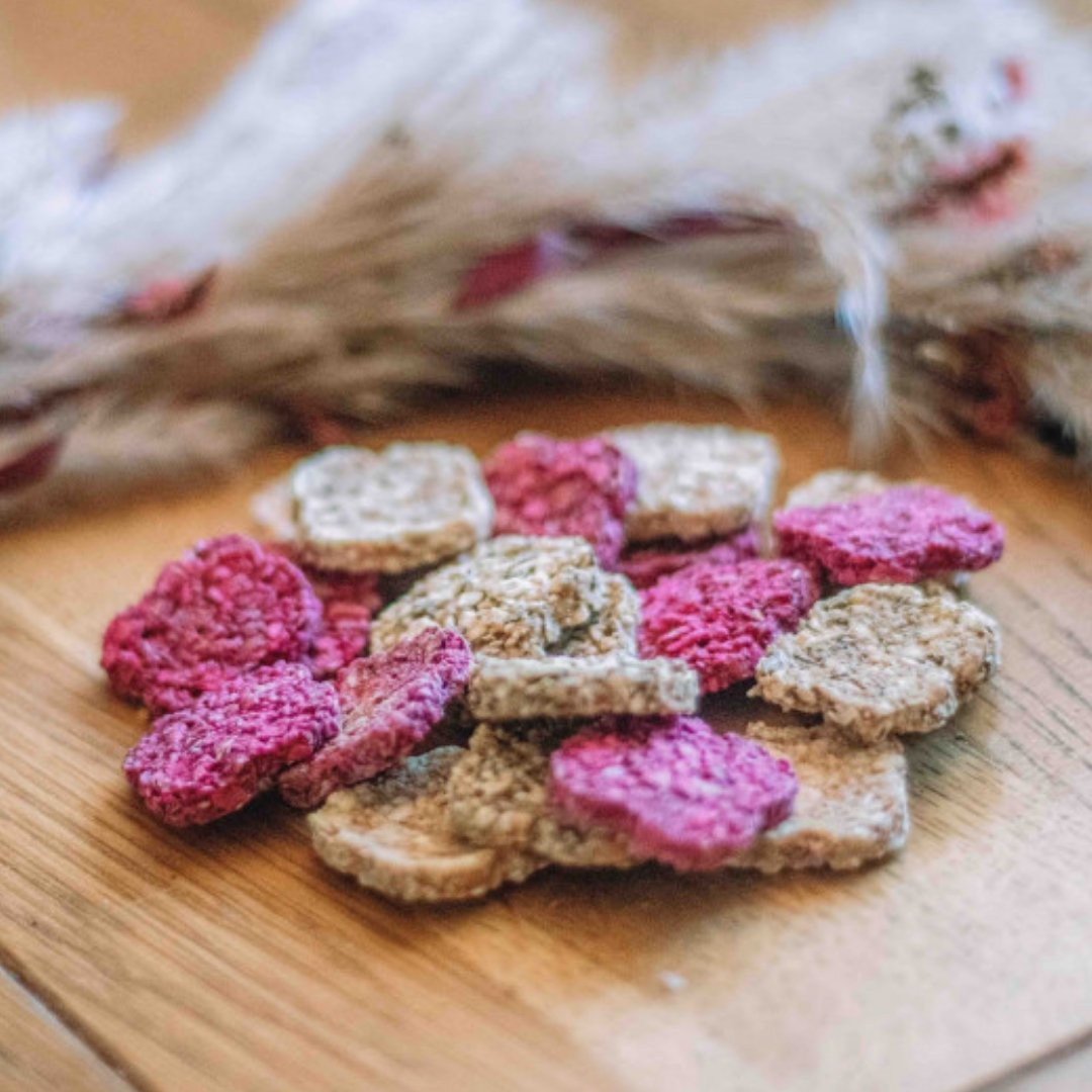 Crackers bio pour chien – Pommes & graines de lin