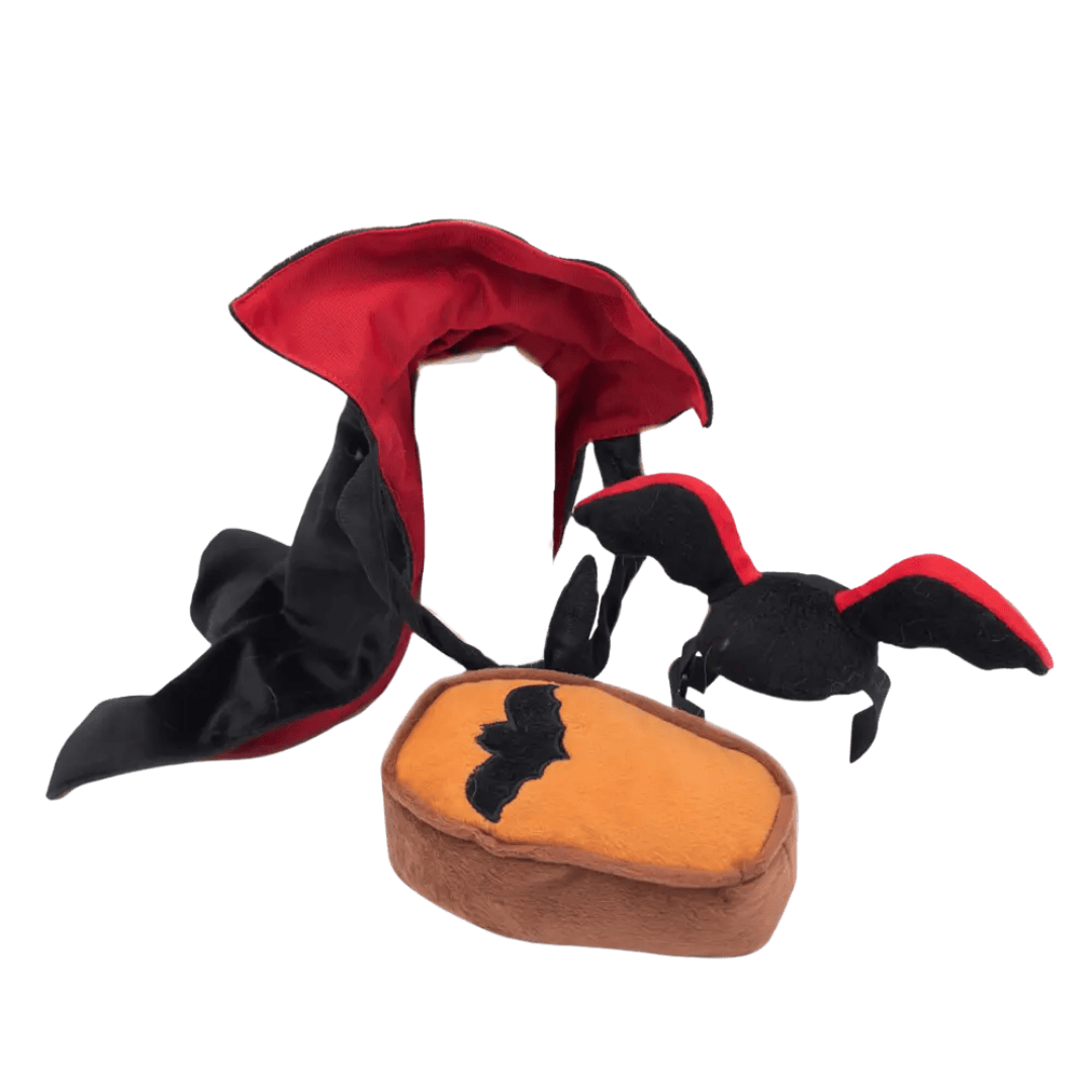 Déguisement Halloween chien Dracula avec jouet cercueil ZippyPaws