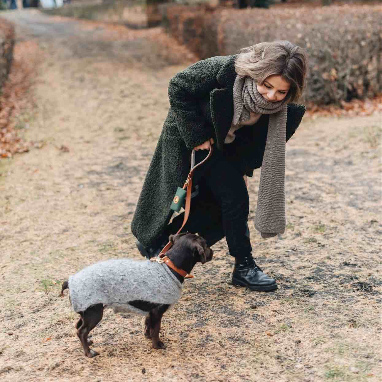mousqueton du distributeur sac crotte chien accroché à une laisse