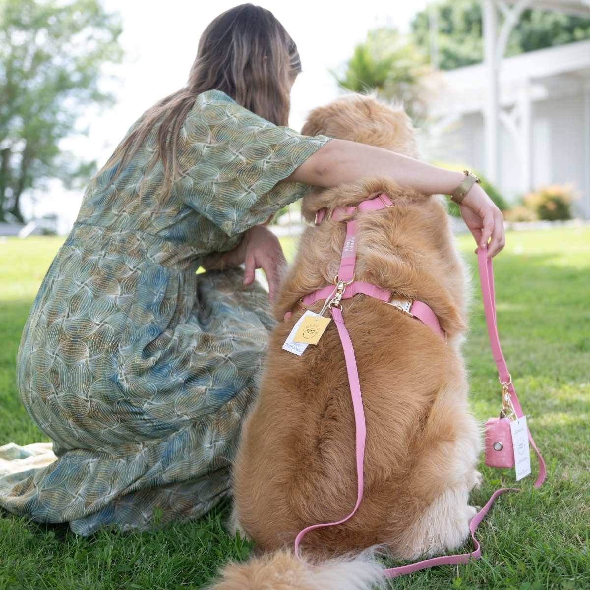 chien avec laisse sunny tails résistante et confortable