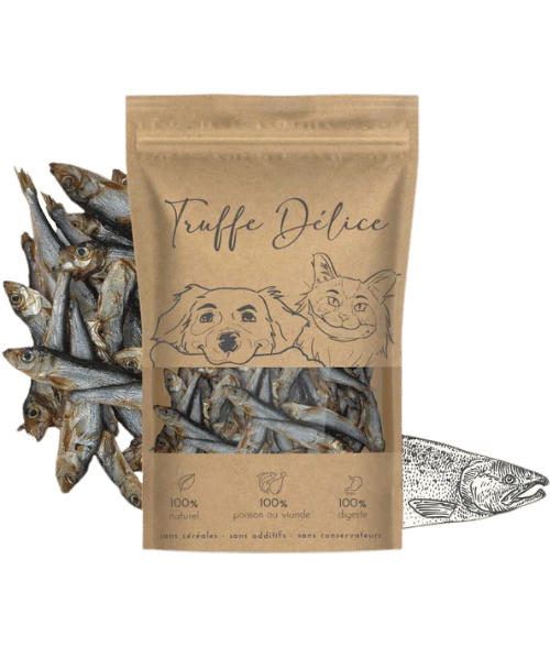 Friandises pour chien au poisson naturelle, riche en oméga-3 et protéines