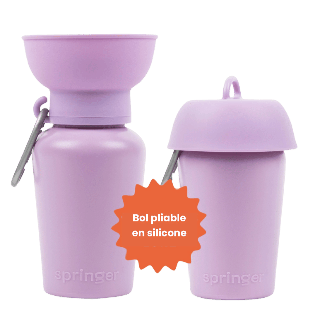 Gourde pour chien verte avec bol intégré violette