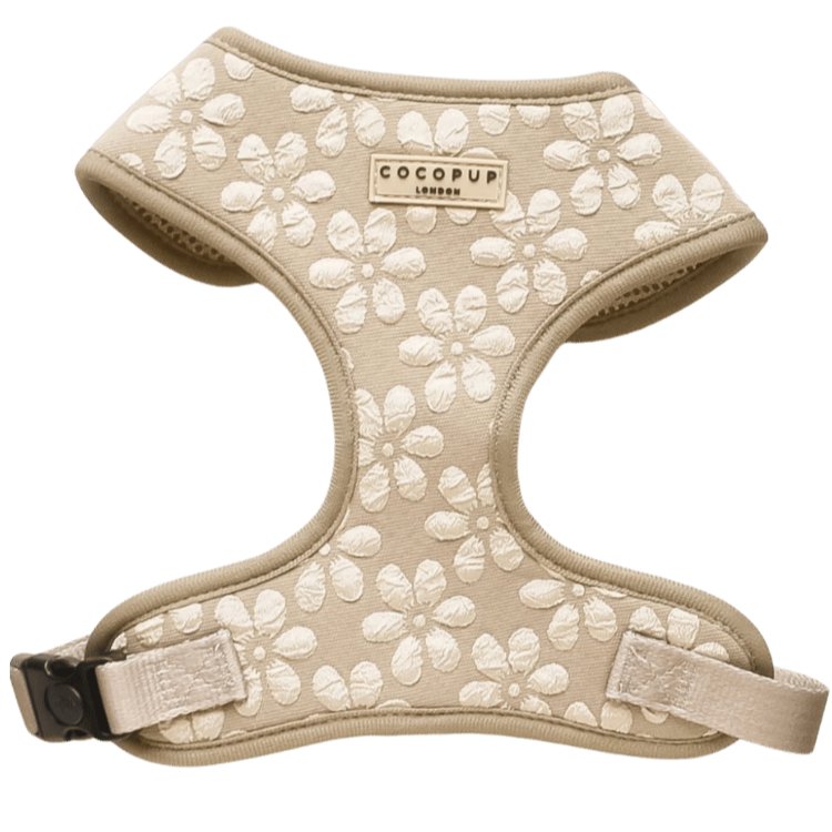 harnais chien Y motif floral moka