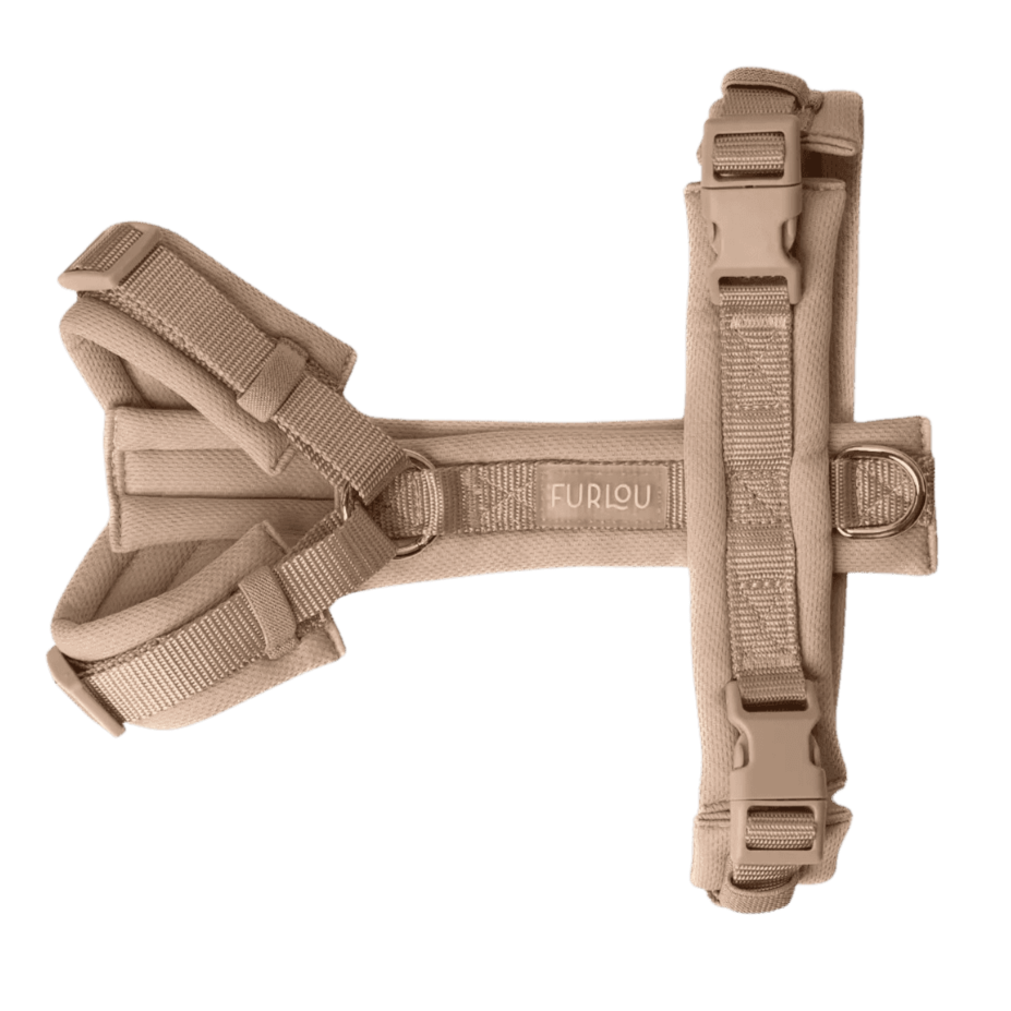 Harnais chien confort Furlou beige vu de haut