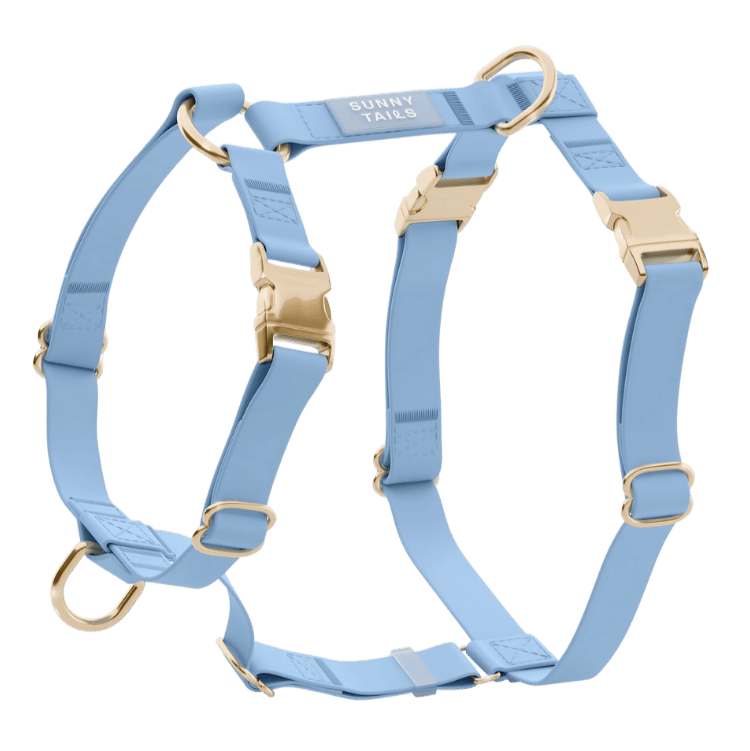 harnais pour chien bleu léger et respirant