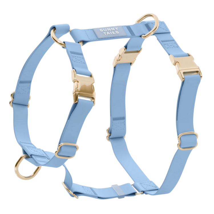 harnais pour chien bleu léger et respirant