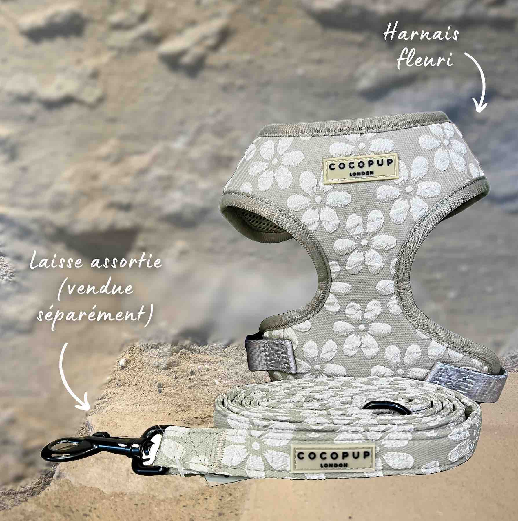 harnais pour chien fleuri ajustable avec laisse assortie
