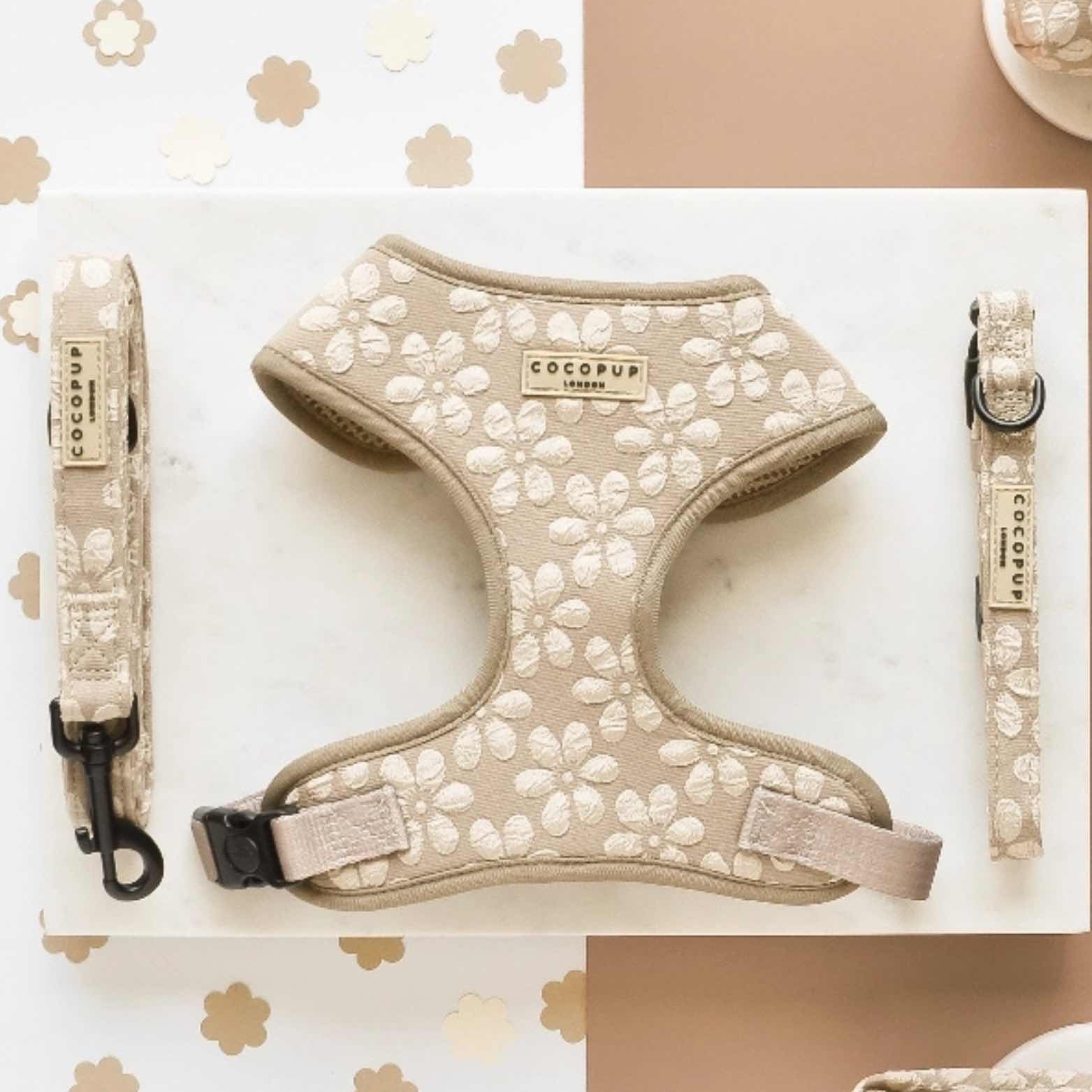 Ensemble fleuri Cocopup : harnais pour chien, laisse et collier