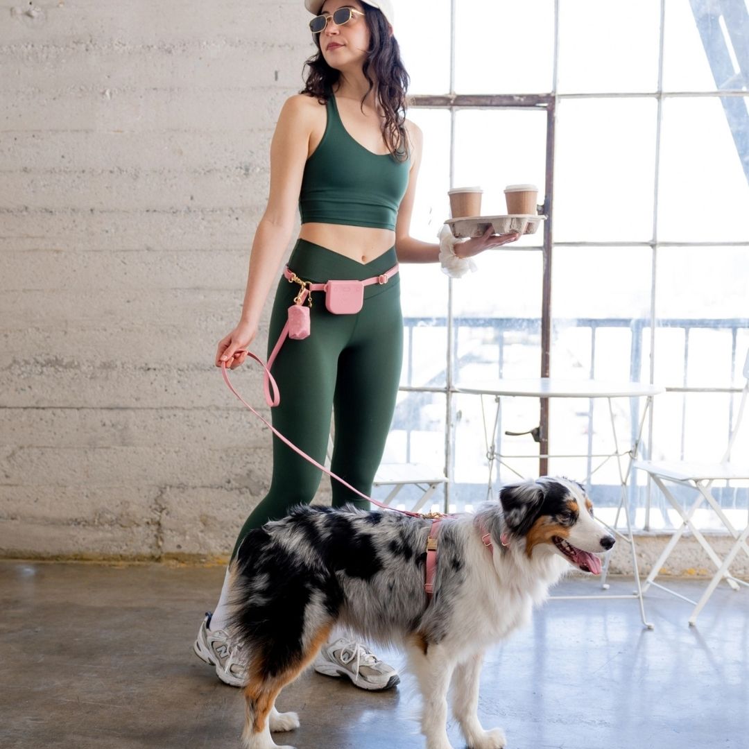 ensemble sunny tails rose pour chien