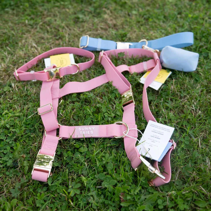 harnais pour chien rose posé dans l'herbe