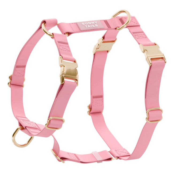harnais pour chien rose waterproof