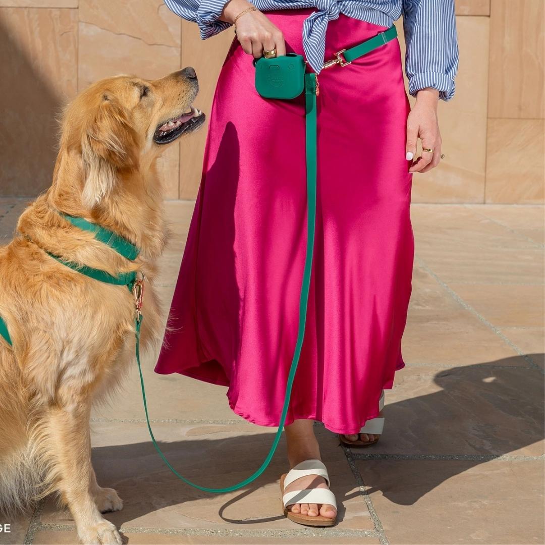 Accessoire de promenade pour chien – harnais vert respirant