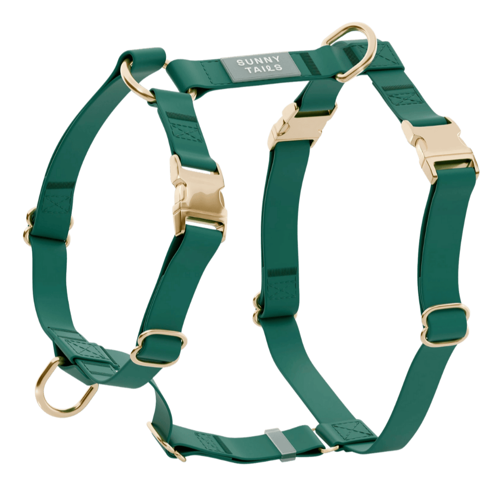 Harnais pour chien vert waterproof et léger