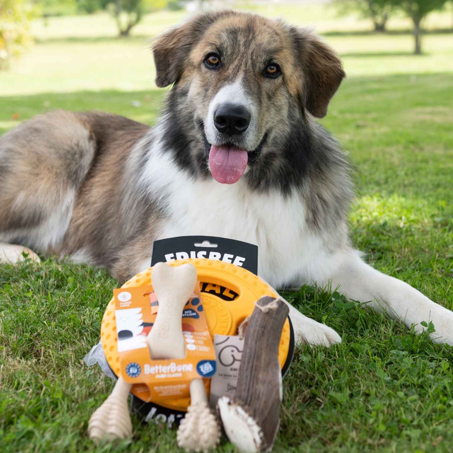Jouet à mâcher avec d'autres jouets pour gros chien