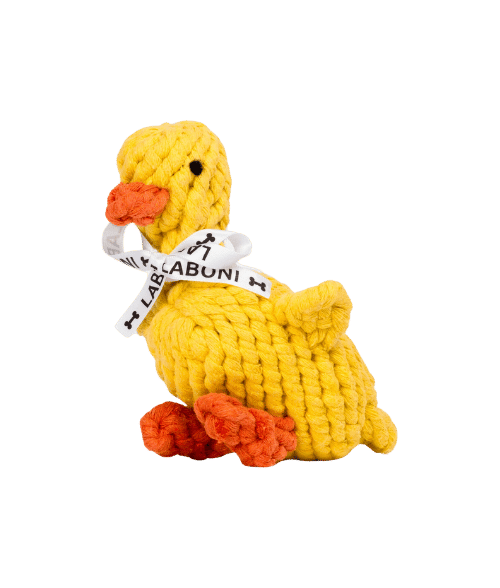 Jouet canard chien rigolo et résistant