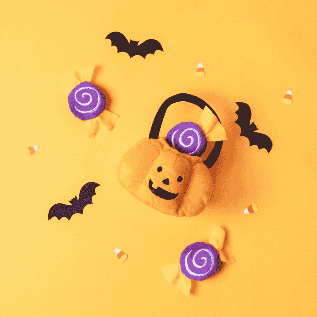Panier Halloween jouet interactif pour chien ZippyPaws Burrow Trick-or-Treat