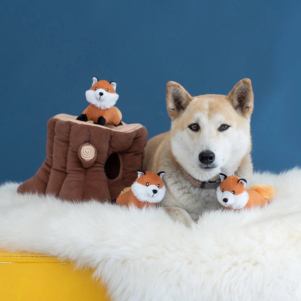 Chien jouant avec un jouet interactif Zippy Burrow