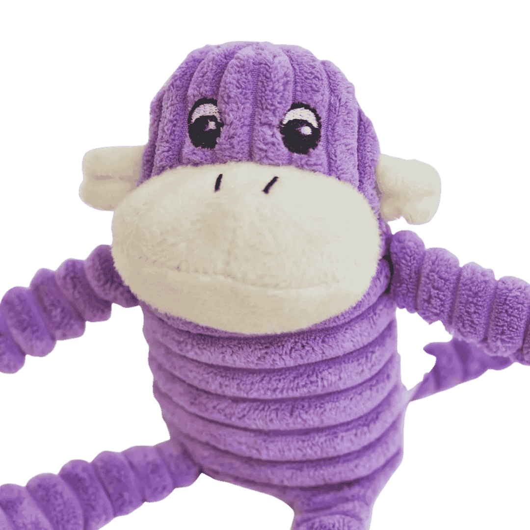 Spencer ZippyPaws – peluche pour chien avec couineur et papier froissé