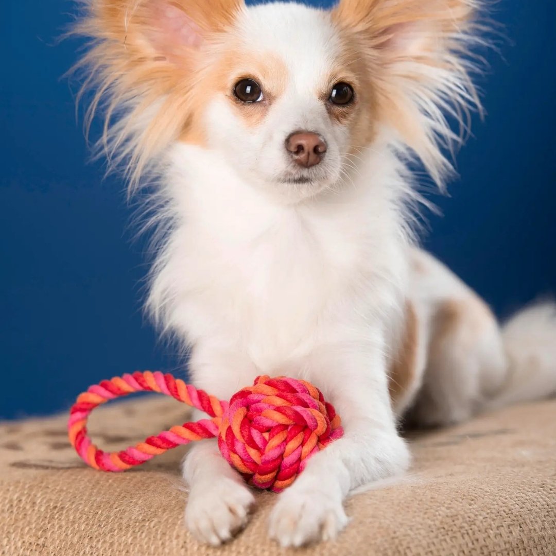 Jouet pour chien en corde Laboni Slingball rose rouge orange - version Mini