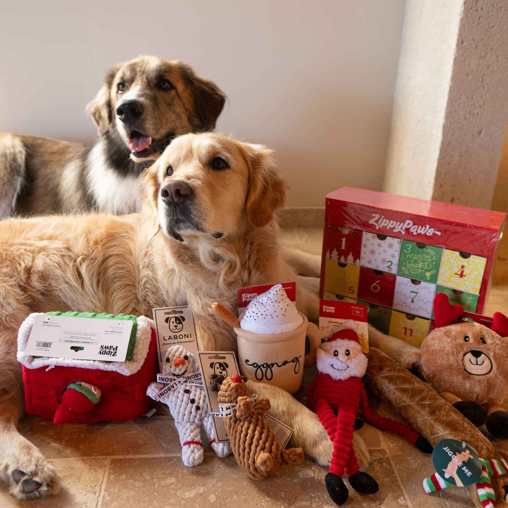 Deux chiens posant avec plusieurs jouets de Noël pour chien, dont un jouet renne de Noël Jigglerz